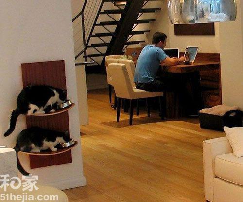 12个宠物家居创意设计 家有猫咪情趣不断