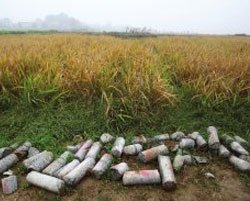 口味虾_腾讯·大湘网_湖南城市生活门户