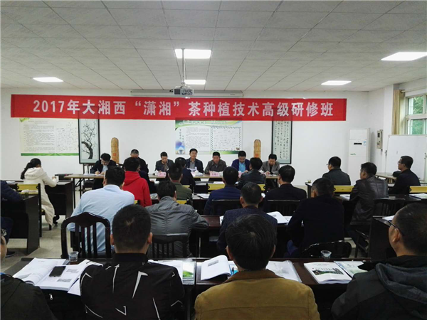 大湘西潇湘茶种植技术高级研修班开班