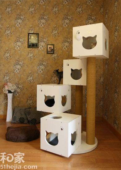 12个宠物家居创意设计 家有猫咪情趣不断
