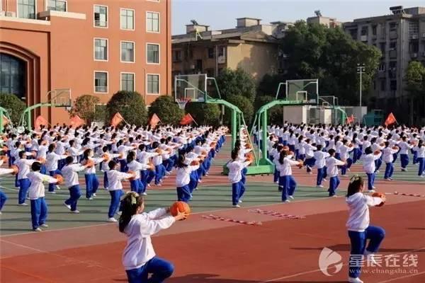 今秋长沙城区将新开21所中小学 你家门口有哪些