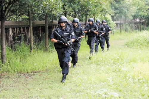 最新巡警特警大队副教导员年度工作总结红旗长城