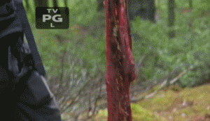 姚明应战!同贝爷野外求生 傅园慧会加入吗