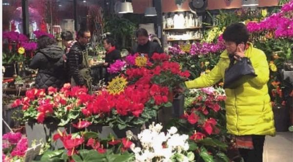 "1月18日下午,长沙市民林女士在三湘花卉大市场正整理刚买的几盆花