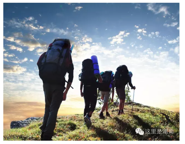 华西村人均收入_湖南省人均纯收入(2)