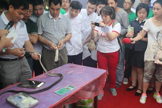 “蛇王”解剖野生蛇现寄生虫 呼吁拒食野生动物_大湘网_腾讯网