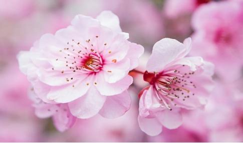 真正的美是什么样 142996476.jpg