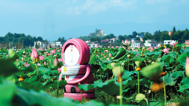 浏阳90后女孩建成轮胎主题公园 花费10万元左