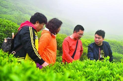 益阳安化男子家中两千斤粮食被烧光 种黑茶买