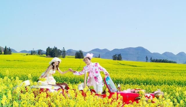 2014年情人节去哪儿 罗平滚油菜花海