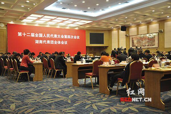 湖南代表团举行第七次全体会议 审议慈善法草案