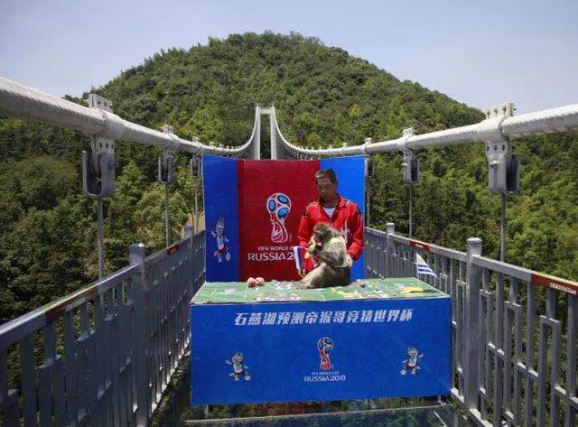 猴哥发布今日预测!世界杯江湖的预测帝传说还