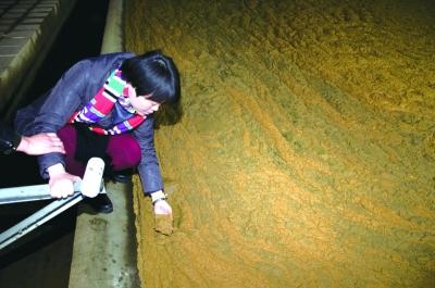 长沙县原水氨氮超标6倍 环保部门建议另找水源