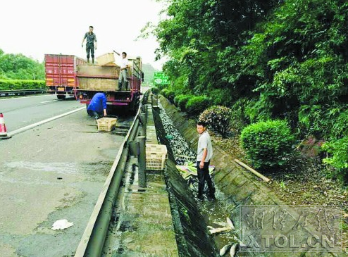 2万斤鲜鱼倾洒高速公路 村民自发"救鱼"