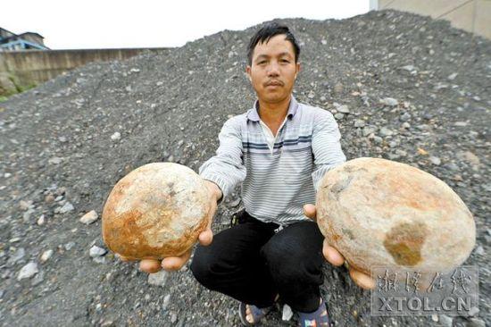 湘潭男子捡4颗白石头 3年后才知是恐龙蛋