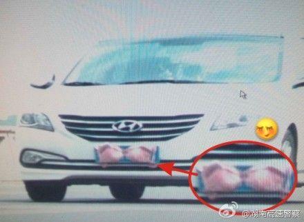 <em>粉红胸罩</em>挡车牌跑高速 警察蜀黍觉得羞羞哒_