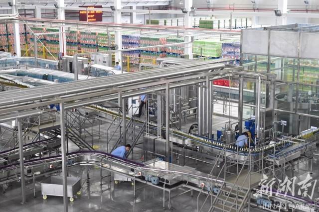 探访雪花湘西啤酒酿造厂:18个足球场大小的厂