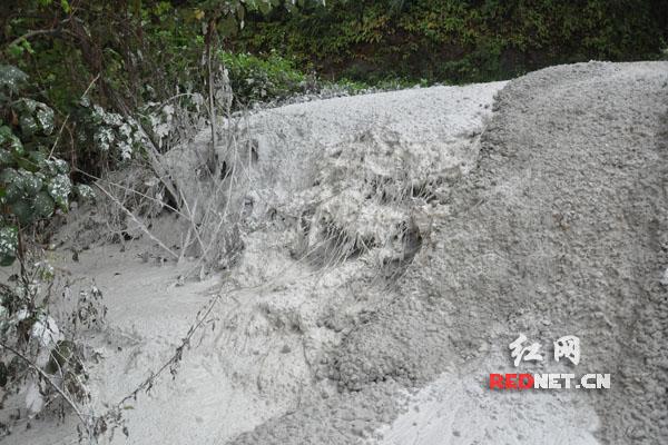 长沙一公园有人偷倒水泥浆 城管：市民可举报