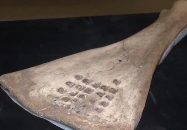 长沙博物馆400余件珍贵文物免费开放