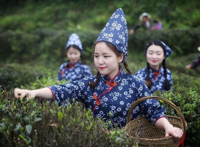 2018南岳衡山云雾茶文化节启幕 力促茶旅融合
