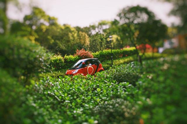 堪比Roseonly的花店 再也不能让它隐匿在长沙