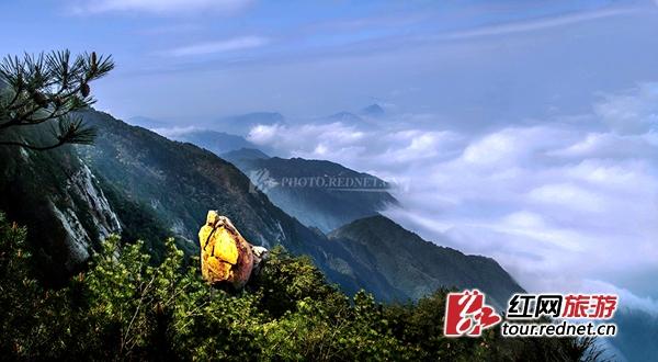 天岳幕阜山寻王淼事件告一段落