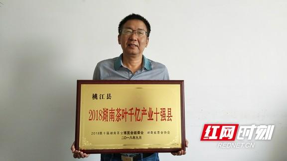 益阳桃江县荣获湖南茶叶千亿产业十强县