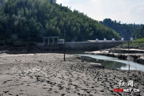 浏阳市龙伏镇政府紧急叫停凤凰峡漂流支持抗旱