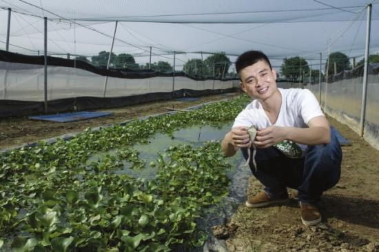 沅江大学生毕业后回农村养蛙 年净利润200余万_大湘网_腾讯网