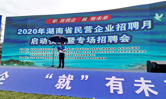 ����������2020����Ӫ��ҵ��Ƹ�»