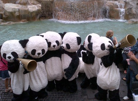 意大利罗马启动熊猫日 成都熊猫大游行