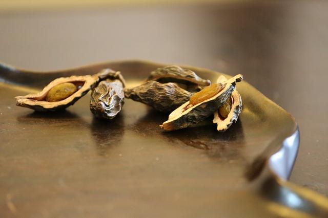 全球不足1 ‰的槟榔 才能装进口味王的小铁盒_大湘网_腾讯网