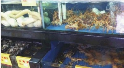 马王堆海鲜价格_马王堆汉墓_马王堆导引术健身气功