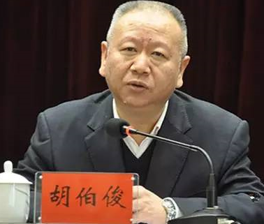 重要任命:胡伯俊任湖南省委组织部常务副部长
