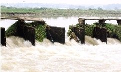 宁乡一桥梁垮塌 疑水草堵住桥洞水流不畅所致