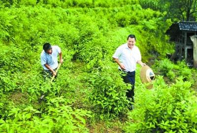 溆浦人口_湖南这个县要“牛”了,攒下9个火车站,人口大县的潜力将被挖掘(2)