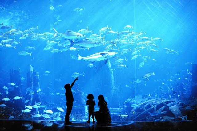 热带风情席卷星城 大三亚旅游经济圈旅游推介会举行
