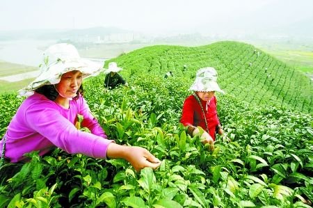 教师节 重走孔圣人周游列国路