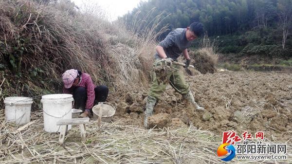 绥宁县寨市镇人口_绥宁县李西镇图片(3)