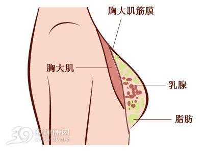 谁说女性练胸会变小变硬的 出来教练不骂你