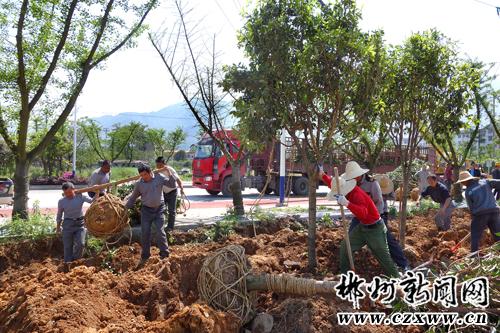 截至3月底 郴州市已完成造林面积26.24万亩
