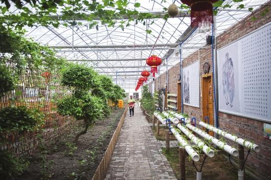 郴州一生态菜园做成景点 市民可微信下单购买