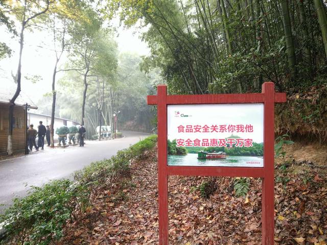 景区干道上树立的食安宣传牌和宣传标语