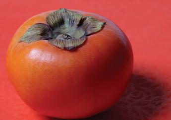 再饿也不能空腹吃的东西,是真是假?