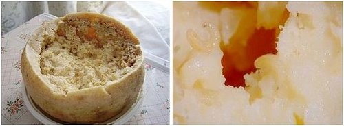 意大利活蛆奶酪(casu+marzu)
