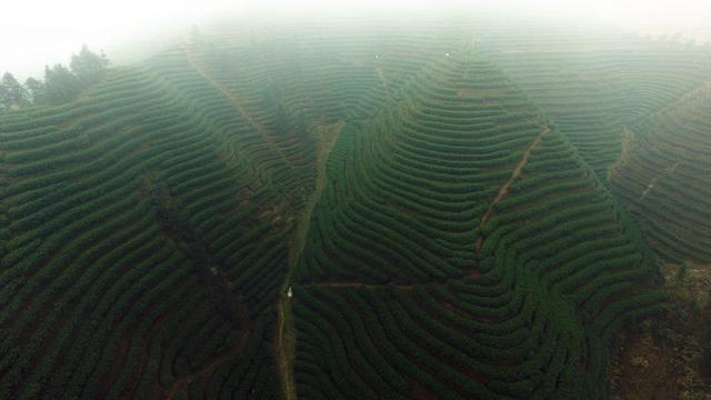 快乐旅行 | 五养宁乡 · 浸心养性