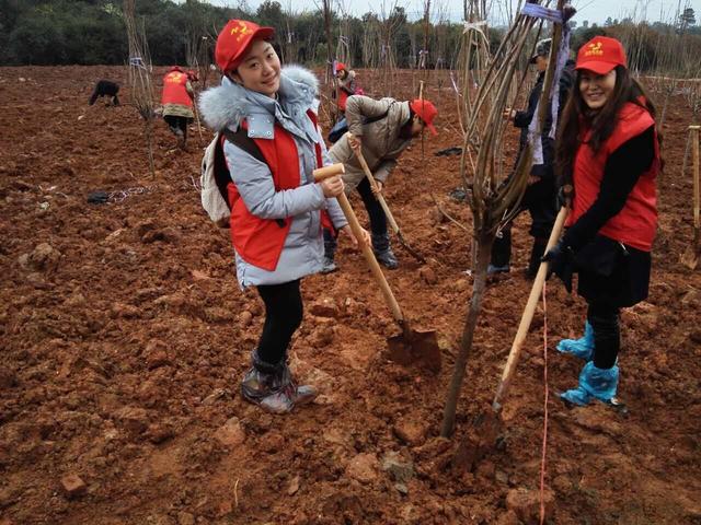 民生保险志愿者在湘参加全民义务植树活动