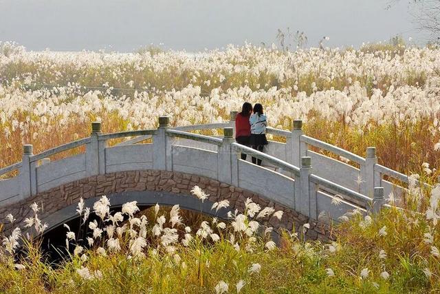 湖南的"白洋淀" 风景如画的长沙巴溪洲