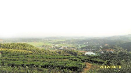 长沙岳麓山桃花朵朵开 早春赏花两日游