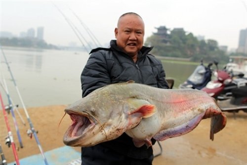 衡阳市民在湘江钓上一条45斤的大鱼(图)